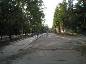 XPI allea 1.jpg